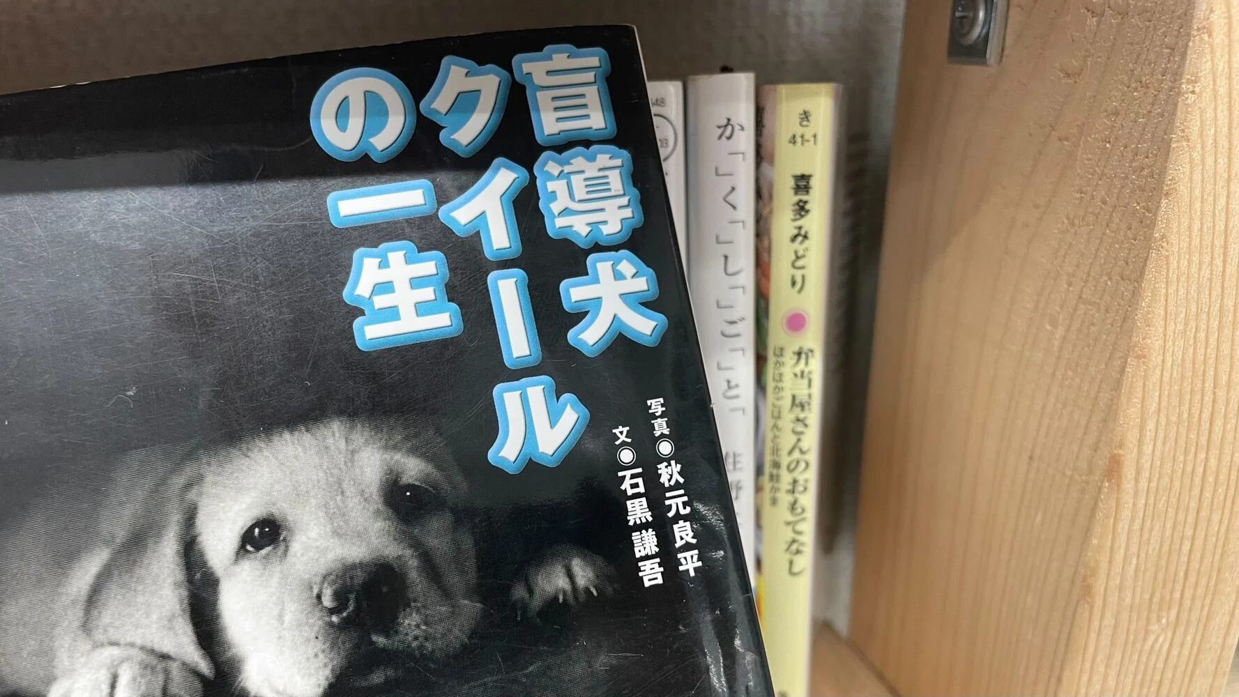 ブログ画像