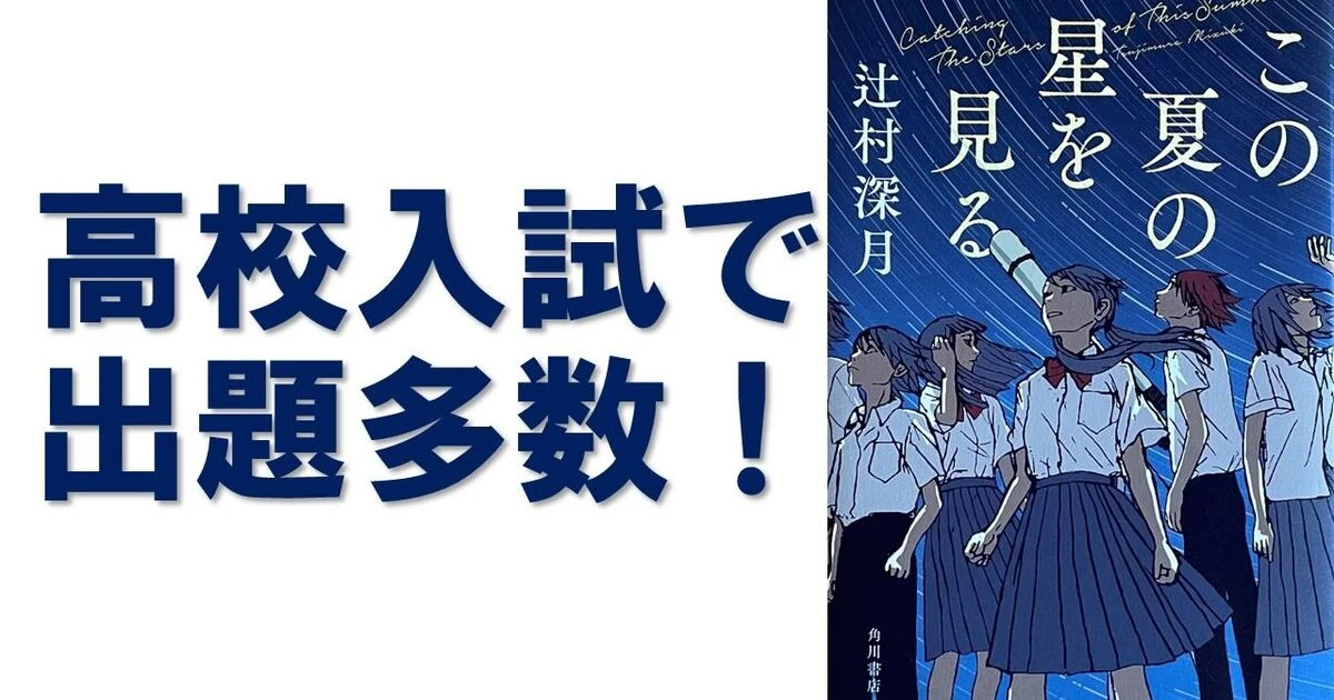 【夏休み対策】中学受験 国語 出題小説10冊セット 朝比奈あすか/辻村深月/重松 朝比奈あすか/辻村深月/重松 出題小説10冊セット 【夏休み対策】中学受験 国語